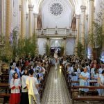 Novena Catedral 2019